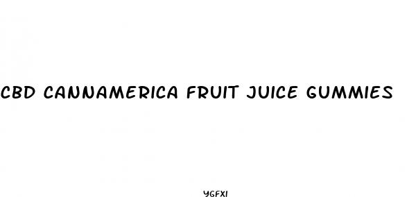cbd cannamerica fruit juice gummies