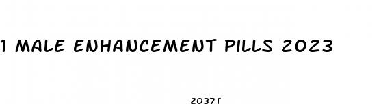 1 male enhancement pills 2023