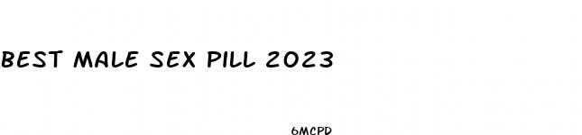 best male sex pill 2023