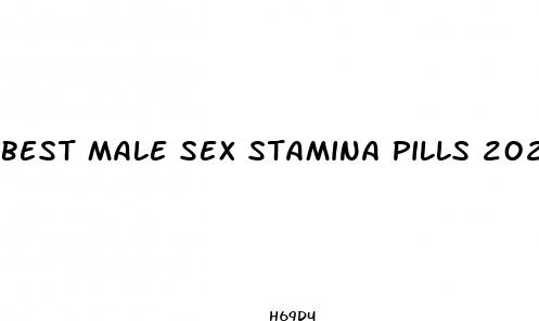 best male sex stamina pills 2023