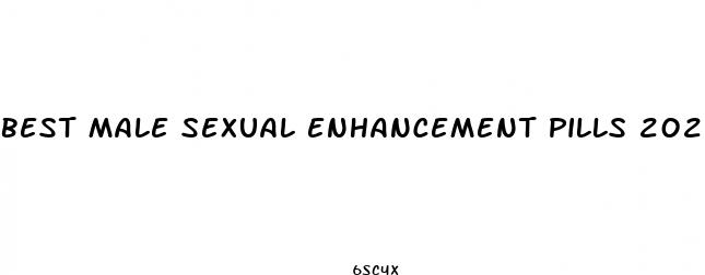 best male sexual enhancement pills 2023