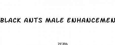 black ants male enhancement pill