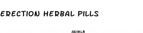 erection herbal pills