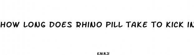 how long does rhino pill take to kick in