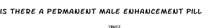 is there a permanent male enhancement pill