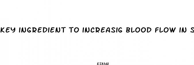 key ingredient to increasig blood flow in sex pills