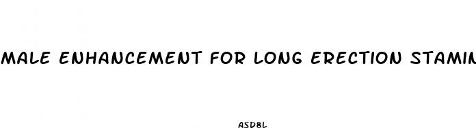 male enhancement for long erection stamina