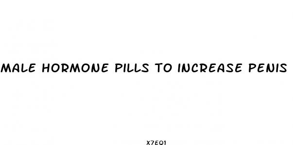 male hormone pills to increase penis size