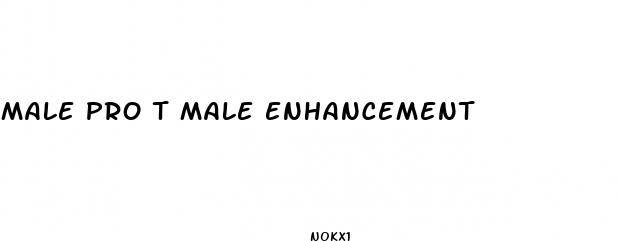 male pro t male enhancement
