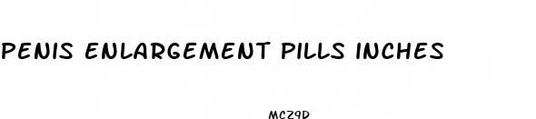 penis enlargement pills inches