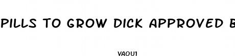 pills to grow dick approved by porn stars