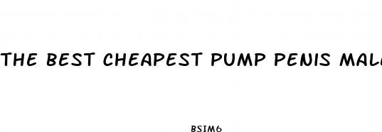 the best cheapest pump penis male enhancement