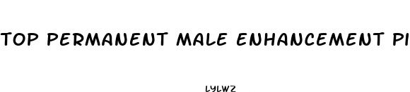 top permanent male enhancement pills