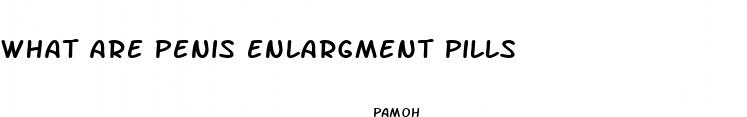 what are penis enlargment pills