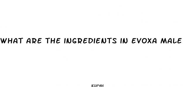 what are the ingredients in evoxa male enhancement