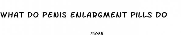 what do penis enlargment pills do