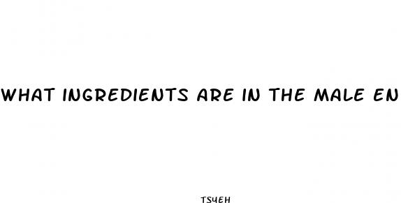 what ingredients are in the male enhancement pill red