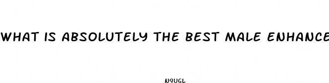 what is absolutely the best male enhancement pill that works
