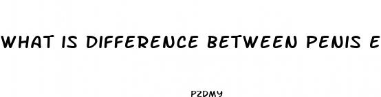 what is difference between penis enlargement and male enhancement