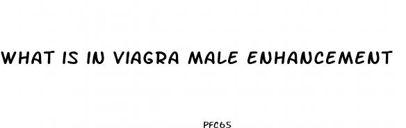 what is in viagra male enhancement