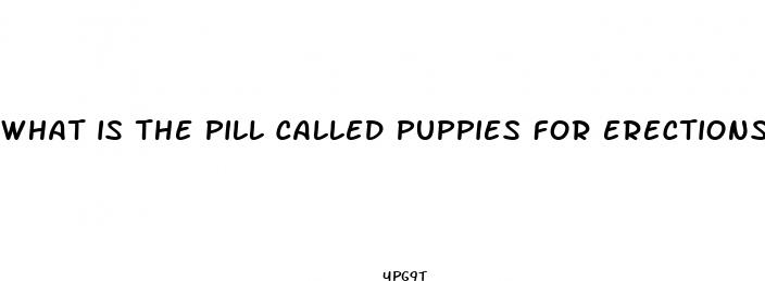 what is the pill called puppies for erections