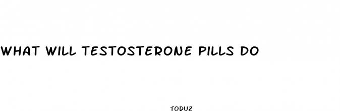 what will testosterone pills do