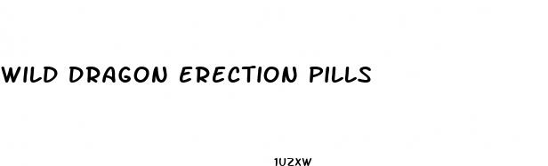 wild dragon erection pills