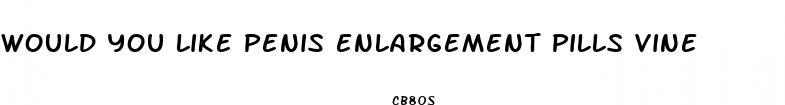 would you like penis enlargement pills vine