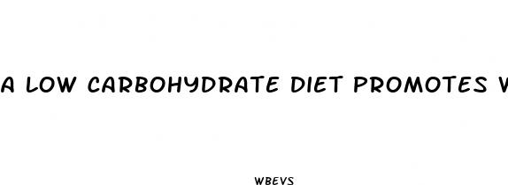 a low carbohydrate diet promotes weight loss when