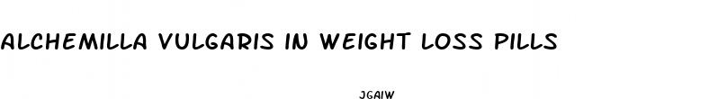 alchemilla vulgaris in weight loss pills