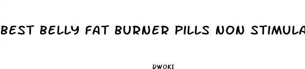 best belly fat burner pills non stimulant