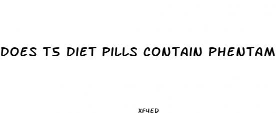 does t5 diet pills contain phentamine