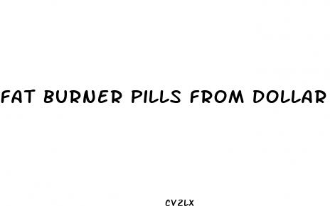fat burner pills from dollar tree