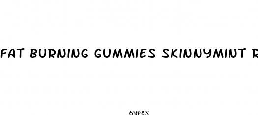 fat burning gummies skinnymint review