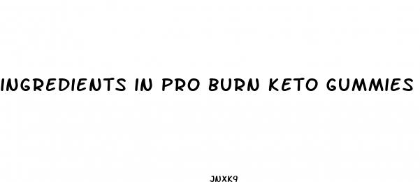 ingredients in pro burn keto gummies