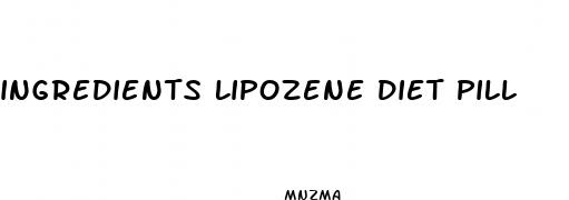 ingredients lipozene diet pill