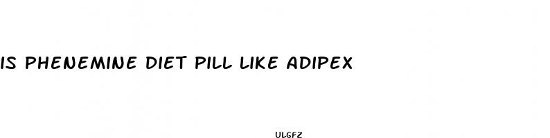 is phenemine diet pill like adipex