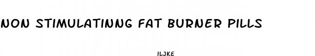 non stimulatinng fat burner pills