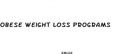 obese weight loss programs