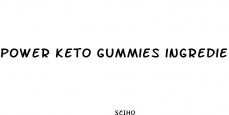 power keto gummies ingredients