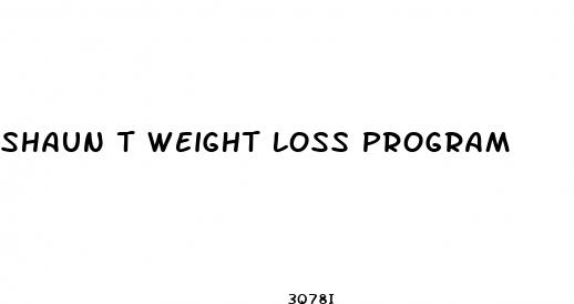 shaun t weight loss program