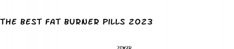the best fat burner pills 2023