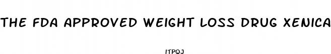 the fda approved weight loss drug xenical orlistat