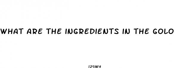 what are the ingredients in the golo diet pill