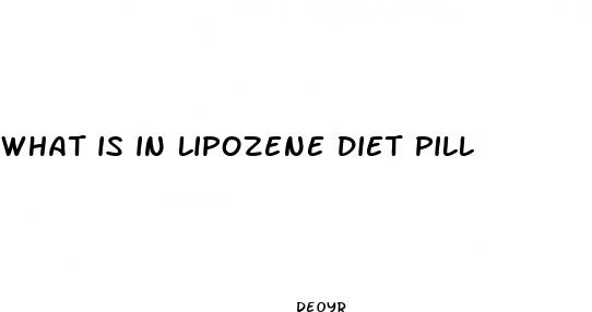 what is in lipozene diet pill