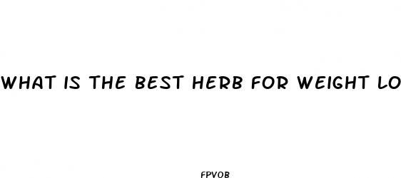 what is the best herb for weight loss