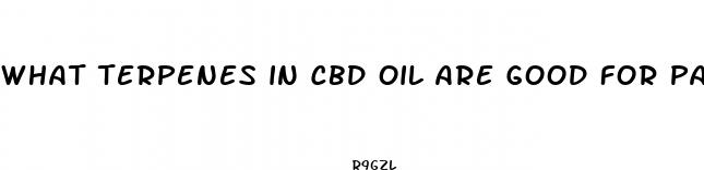 what terpenes in cbd oil are good for pain