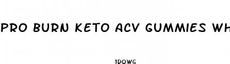 pro burn keto acv gummies where to buy
