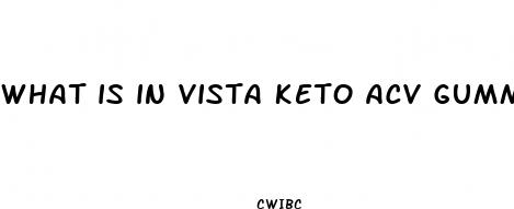 what is in vista keto acv gummies