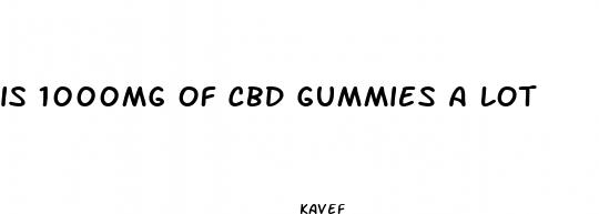 is 1000mg of cbd gummies a lot